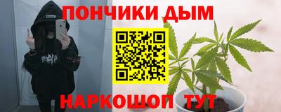 шишки Ирбит