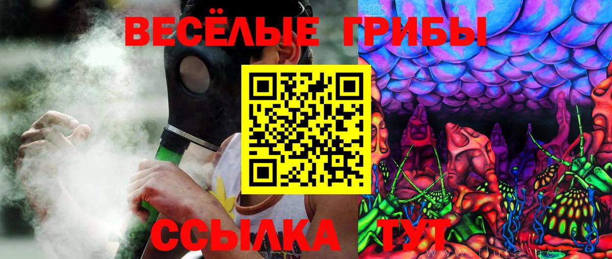 Галлюциногенные грибы мухоморы Ленинск-Кузнецкий