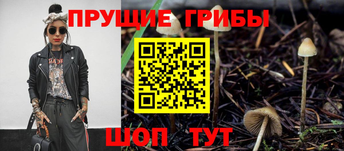 Галлюциногенные грибы Psilocybine cubensis  Вход с VPN  Ленинск-Кузнецкий 